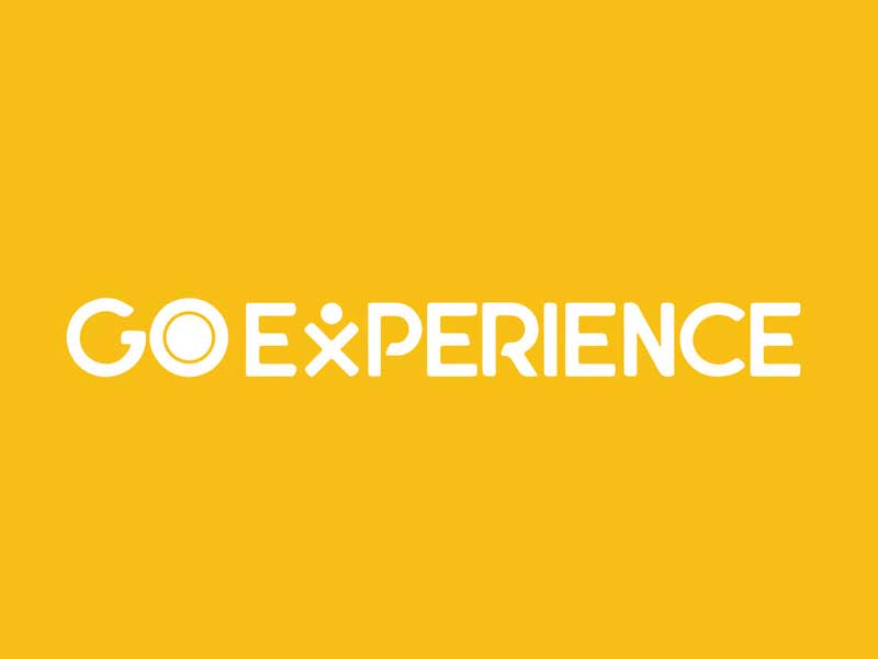 Go Experience